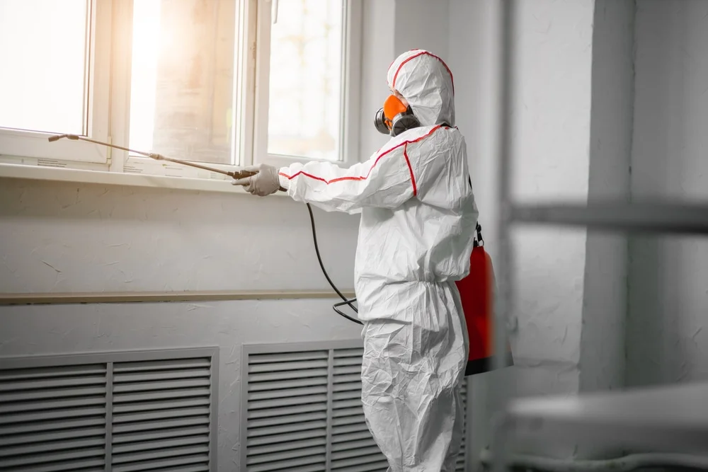 Professional mold remediation services in Daisetta, TX